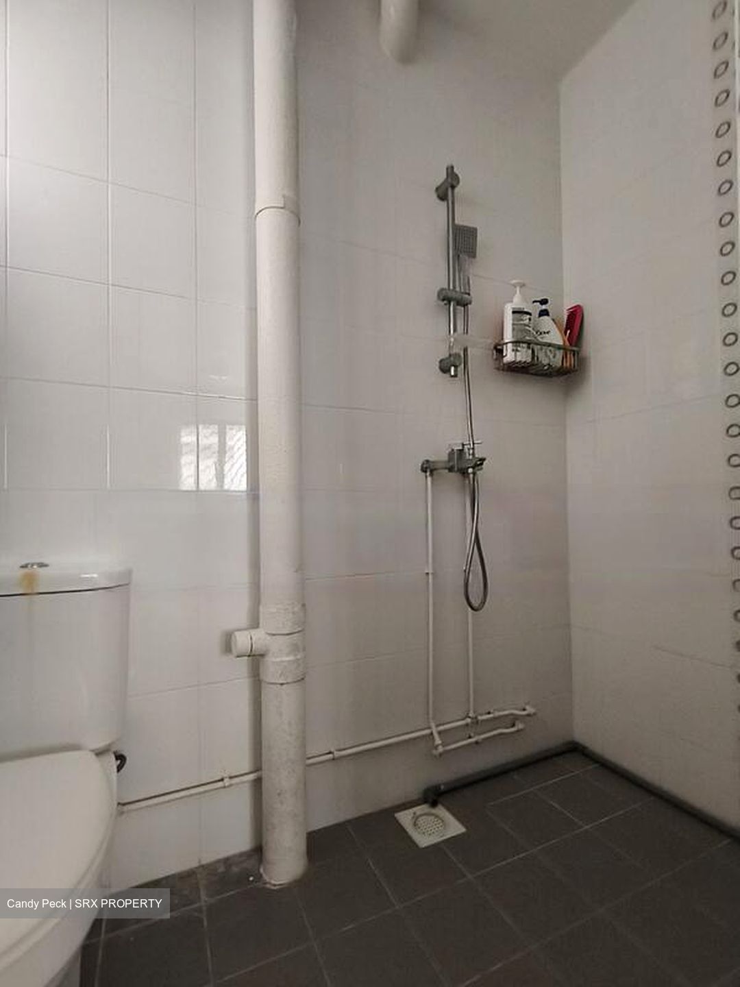 Blk 405 Sin Ming Garden (Bishan), HDB 5 Rooms #491337991